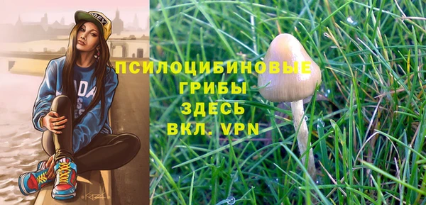 каннабис Абаза