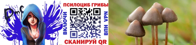 Псилоцибиновые грибы прущие грибы  omg вход  Усть-Кут 